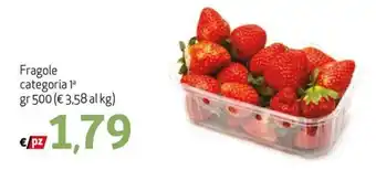 Fragole gr 500