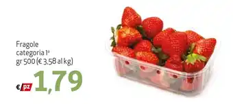 Maxi Family Fragole gr 500 offerta
