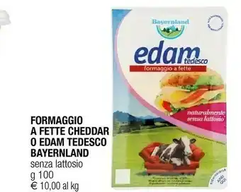 Iperal Bayernland Formaggio Edam Tedesco offerta