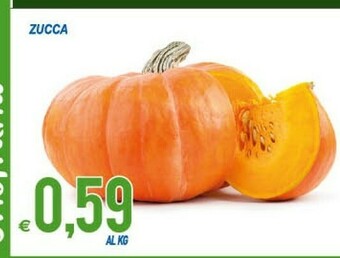 MD Discount Zucca offerta