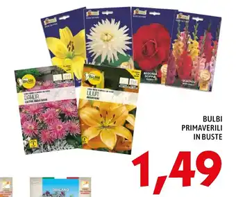 BULBI PRIMAVERILI IN BUSTE
