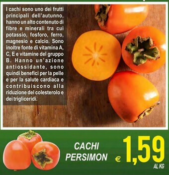 Cachi Persimon