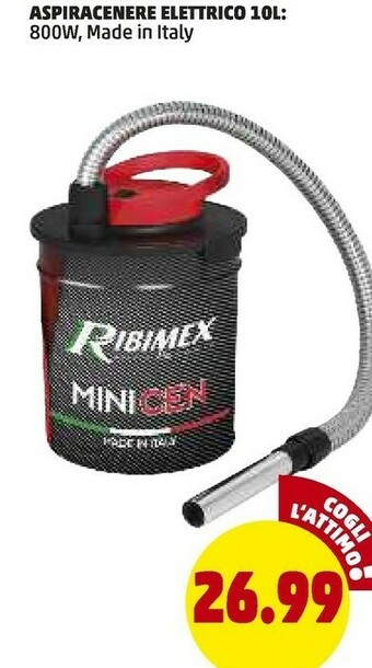 PENNY Aspiracenere Elettrico 10L offerta