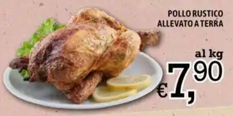 Famila Market POLLO RUSTICO ALLEVATO A TERRA offerta