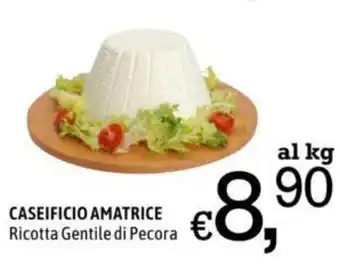 Famila Market CASEIFICIO AMATRICE Ricotta Gentile di Pecora offerta