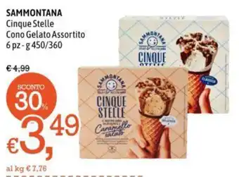 Famila Market SAMMONTANA Cinque Stelle Cono Gelato Assortito 6 pz - g450 / 360 offerta