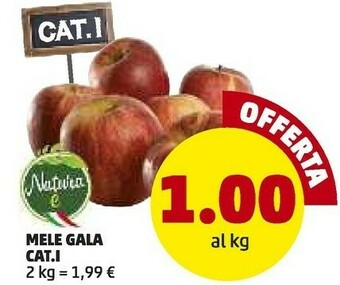 PENNY Mele Gala offerta