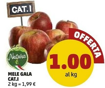 PENNY Mele Gala offerta