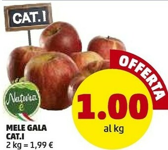 PENNY Mele Gala offerta