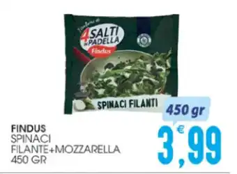 SpesAmica FINDUS SPINACI FILANTE+MOZZARELLA 450 GR offerta