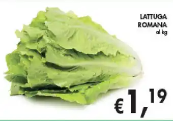 èccoMI LATTUGA ROMANA offerta