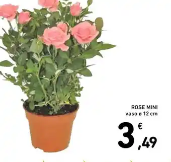 Spazio Conad ROSE MINI vaso ø 12 cm offerta