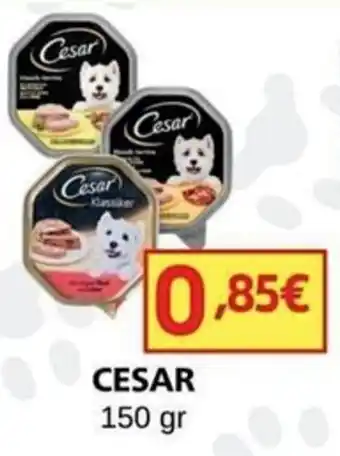 MEGA CESAR 150 gr offerta