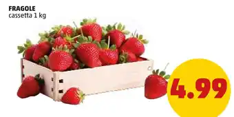 PENNY FRAGOLE cassetta 1 kg offerta