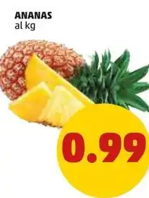 PENNY ANANAS offerta