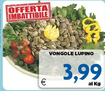 DEM Vongole offerta