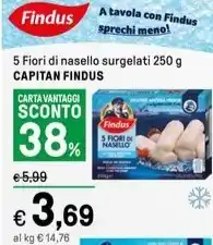 Iper La Grande 5 Fiori di nasello surgelati 250 g CAPITAN FINDUS offerta