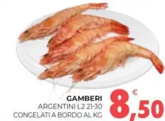 GAMBERI ARGENTINI L2 21-30 CONGELATI A BORDO AL KG