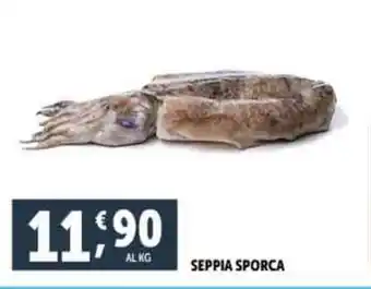 Deco Superfreddo SEPPIA SPORCA offerta