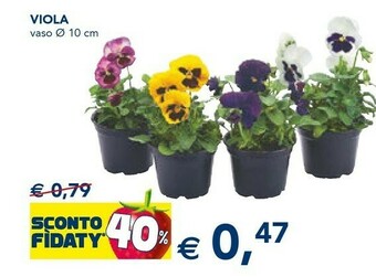 Esselunga Piante offerta