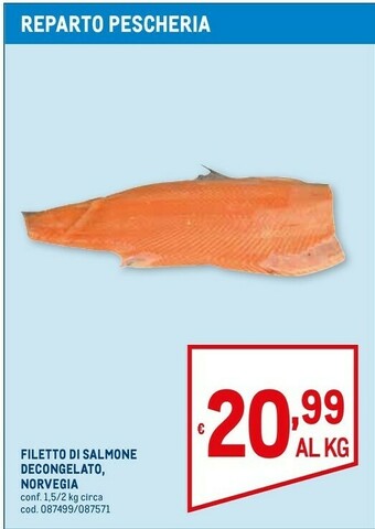 Metro Salmone offerta