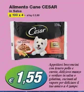 Prix Quality Cesar Cibo per cani offerta