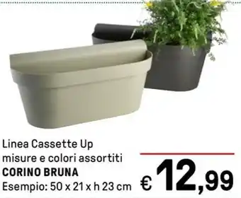 Iper La Grande Linea Cassette Up misure e colori assortiti CORINO BRUNA offerta