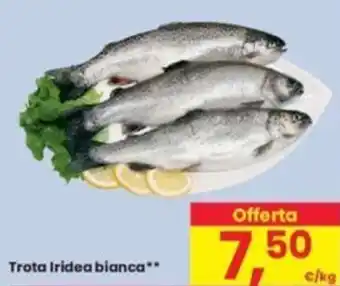 Eurospar Trota Iridea bianca offerta
