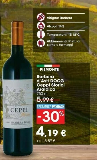 Carrefour Barbera Barbera offerta