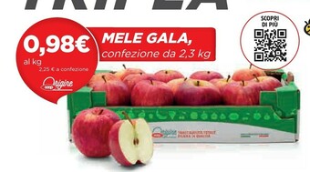 Coop Mele Gala offerta
