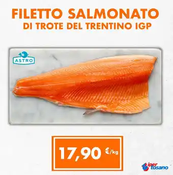 Iper Tosano FILETTO SALMONATO DI TROTE DEL TRENTINO IGP offerta