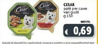 Deco Supermercati Cesar Pate Per Cane offerta
