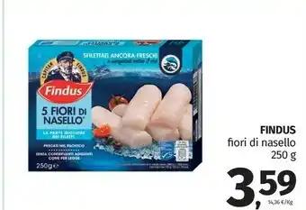 Pam Findus 5 Fiori Di Nasello 250 G(ml) offerta