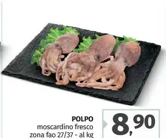 Pam Polpo Moscardino Fresco Zona Fao offerta