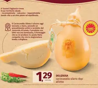 Deliziosa Caciocavallo Silano Dop
