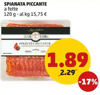 PENNY SPIANATA PICCANTE a fette 120 g offerta