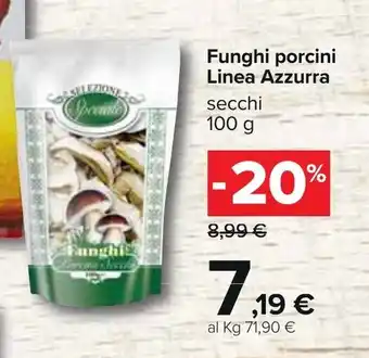 Carrefour Funghi porcini Linea Azzurra 100g offerta