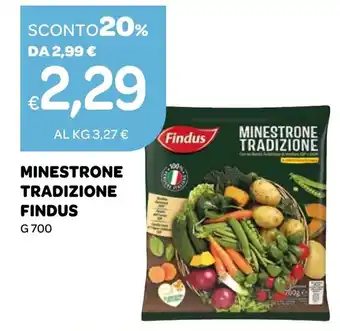 Ekom MINESTRONE TRADIZIONE FINDUS G 700 offerta