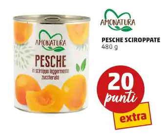 PENNY AMONATURA PESCHE SCIROPPATE 480 g offerta
