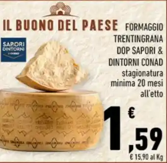 Conad FORMAGGIO TRENTINGRANA DOP SAPORI & DINTORNI CONAD stagionatura minima 20 mesi offerta