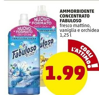 PENNY Fabuloso Ammorbidente Concentrato offerta