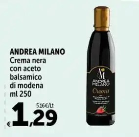 Carrefour Market ANDREA MILANO Crema nera con aceto balsamico di modena ml 250 offerta
