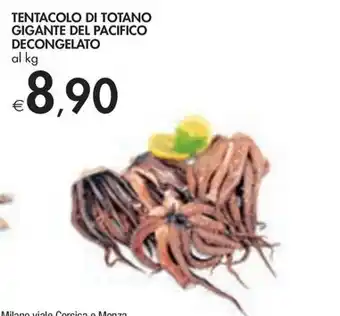 Bennet TENTACOLO DI TOTANO GIGANTE DEL PACIFICO DECONGELATO offerta
