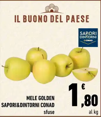 Conad City MELE GOLDEN SAPORI&DINTORNI CONAD offerta