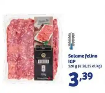 In'S Mercato Salame felino IGP 120 g offerta