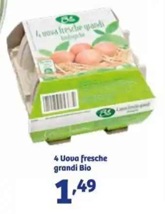 In'S Mercato 4 Uova fresche grandi Bio offerta