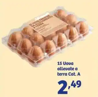 In'S Mercato 15 Uova allevate a terra offerta
