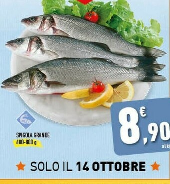 Conad Superstore Spigola Grande offerta