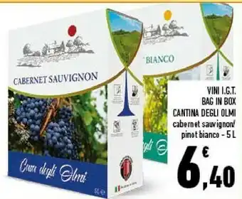 Cantina Degli Olmi Cabernet Sauvignon
