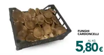 Altasfera FUNGHI CARDONCELLI offerta